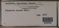 Physarum nutans image